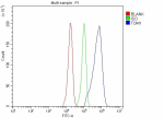 Flow Cytometry analysis of Hela cells using anti-TOM1 antibody. Overlay histogram showing Hela cells stained with (Blue line). The cells were fixed with 4% paraformaldehyde and blocked with 10% normal goat serum. And then incubated with rabbit anti-TOM1 antibody (1 ug/million cells) for 30 min at 20oC. DyLight 488 conjugated goat anti-rabbit IgG (5-10 ug/million cells) was used as secondary antibody for 30 minutes at 20oC. Isotype control antibody (Green line) was rabbit IgG (1 ug/million cells) used under the same conditions. Unlabelled sample without incubation with primary antibody and secondary antibody (Red line) was used as a blank control.