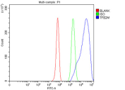 Flow Cytometry analysis of K562 cells using anti-TFB2M antibody. Overlay histogram showing K562 cells stained with (Blue line). To facilitate intracellular staining, cells were fixed with 4% paraformaldehyde and permeabilized with permeabilization buffer. The cells were blocked with 10% normal goat serum. And then incubated with rabbit anti-TFB2M antibody (1 ug/million cells) for 30 min at 20oC. DyLight 488 conjugated goat anti-rabbit IgG (5-10 ug/million cells) was used as secondary antibody for 30 minutes at 20oC. Isotype control antibody (Green line) was rabbit IgG (1 ug/million cells) used under the same conditions. Unlabelled sample (Red line) was also used as a control.