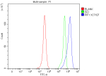 Flow Cytometry analysis of HeLa cells using anti-PIF1 antibody. Overlay histogram showing HeLa cells stained with (Blue line). To facilitate intracellular staining, cells were fixed with 4% paraformaldehyde and permeabilized with permeabilization buffer. The cells were blocked with 10% normal goat serum. And then incubated with rabbit anti-PIF1 antibody (1 ug/million cells) for 30 min at 20oC. DyLight 488 conjugated goat anti-rabbit IgG (5-10 ug/million cells) was used as secondary antibody for 30 minutes at 20oC. Isotype control antibody (Green line) was rabbit IgG (1 ug/million cells) used under the same conditions. Unlabelled sample without incubation with primary antibody and secondary antibody (Red line) was used as a blank control.
