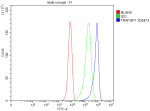 Flow Cytometry analysis of HepG2 cells using anti-TRAF3IP1 antibody. Overlay histogram showing HepG2 cells stained with (Blue line). To facilitate intracellular staining, cells were fixed with 4% paraformaldehyde and permeabilized with permeabilization buffer. The cells were blocked with 10% normal goat serum. And then incubated with rabbit anti-TRAF3IP1 antibody (1 ug/million cells) for 30 min at 20oC. DyLight 488 conjugated goat anti-rabbit IgG (5-10 ug/million cells) was used as secondary antibody for 30 minutes at 20oC. Isotype control antibody (Green line) was rabbit IgG (1 ug/million cells) used under the same conditions. Unlabelled sample without incubation with primary antibody and secondary antibody (Red line) was used as a blank control.