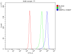 Flow Cytometry analysis of Jurkat cells using anti-IMMP2L antibody. Overlay histogram showing Jurkat cells stained with (Blue line). To facilitate intracellular staining, cells were fixed with 4% paraformaldehyde and permeabilized with permeabilization buffer. The cells were blocked with 10% normal goat serum. And then incubated with rabbit anti-IMMP2L antibody (1 ug/million cells) for 30 min at 20oC. DyLight 488 conjugated goat anti-rabbit IgG (5-10 ug/million cells) was used as secondary antibody for 30 minutes at 20oC. Isotype control antibody (Green line) was rabbit IgG (1 ug/million cells) used under the same conditions. Unlabelled sample without incubation with primary antibody and secondary antibody (Red line) was used as a blank control.