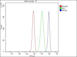 Flow Cytometry analysis of HepG2 cells using anti-RPS21 antibody. Overlay histogram showing HepG2 cells stained with (Blue line). To facilitate intracellular staining, cells were fixed with 4% paraformaldehyde and permeabilized with permeabilization buffer. The cells were blocked with 10% normal goat serum. And then incubated with rabbit anti-RPS21 antibody (1 ug/million cells) for 30 min at 20oC. DyLight 488 conjugated goat anti-rabbit IgG (5-10 ug/million cells) was used as secondary antibody for 30 minutes at 20oC. Isotype control antibody (Green line) was rabbit IgG (1 ug/million cells) used under the same conditions. Unlabelled sample without incubation with primary antibody and secondary antibody (Red line) was used as a blank control.