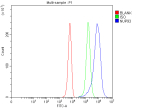 Flow Cytometry analysis of K562 cells using anti-NUP93 antibody. Overlay histogram showing K562 cells stained with (Blue line). To facilitate intracellular staining, cells were fixed with 4% paraformaldehyde and permeabilized with permeabilization buffer. The cells were blocked with 10% normal goat serum. And then incubated with rabbit anti-NUP93 antibody (1 ug/million cells) for 30 min at 20oC. DyLight 488 conjugated goat anti-rabbit IgG (5-10 ug/million cells) was used as secondary antibody for 30 minutes at 20oC. Isotype control antibody (Green line) was rabbit IgG (1 ug/million cells) used under the same conditions. Unlabelled sample without incubation with primary antibody and secondary antibody (Red line) was used as a blank control.