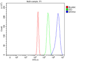 Flow Cytometry analysis of HepG2 cells using anti-MYH14 antibody. Overlay histogram showing HepG2 cells stained with (Blue line). To facilitate intracellular staining, cells were fixed with 4% paraformaldehyde and permeabilized with permeabilization buffer. The cells were blocked with 10% normal goat serum. And then incubated with rabbit anti-MYH14 antibody (1 ug/million cells) for 30 min at 20oC. DyLight 488 conjugated goat anti-rabbit IgG (5-10 ug/million cells) was used as secondary antibody for 30 minutes at 20oC. Isotype control antibody (Green line) was rabbit IgG (1 ug/million cells) used under the same conditions. Unlabelled sample (Red line) was also used as a control.