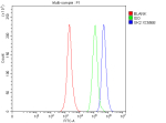 Flow Cytometry analysis of SH-SY5Y cells using anti-GK2 antibody. Overlay histogram showing SH-SY5Y cells stained with (Blue line). To facilitate intracellular staining, cells were fixed with 4% paraformaldehyde and permeabilized with permeabilization buffer. The cells were blocked with 10% normal goat serum. And then incubated with rabbit anti-GK2 antibody (1 ug/million cells) for 30 min at 20oC. DyLight 488 conjugated goat anti-rabbit IgG (5-10 ug/million cells) was used as secondary antibody for 30 minutes at 20oC. Isotype control antibody (Green line) was rabbit IgG (1 ug/million cells) used under the same conditions. Unlabelled sample without incubation with primary antibody and secondary antibody (Red line) was used as a blank control.