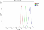 Flow Cytometry analysis of MCF-7 cells using anti-GBP1 antibody. Overlay histogram showing MCF-7 cells stained with (Blue line). The cells were fixed with 4% paraformaldehyde and blocked with 10% normal goat serum. And then incubated with rabbit anti-GBP1 antibody (1 ug/million cells) for 30 min at 20oC. DyLight 488 conjugated goat anti-rabbit IgG (5-10 ug/million cells) was used as secondary antibody for 30 minutes at 20oC. Isotype control antibody (Green line) was rabbit IgG (1 ug/million cells) used under the same conditions. Unlabelled sample without incubation with primary antibody and secondary antibody (Red line) was used as a blank control.