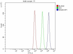 Flow Cytometry analysis of Caco-2 cells using anti-RAD51AP1 antibody. Overlay histogram showing Caco-2 cells stained with (Blue line). To facilitate intracellular staining, cells were fixed with 4% paraformaldehyde and permeabilized with permeabilization buffer. The cells were blocked with 10% normal goat serum. And then incubated with rabbit anti-RAD51AP1 antibody (1 ug/million cells) for 30 min at 20oC. DyLight 488 conjugated goat anti-rabbit IgG (5-10 ug/million cells) was used as secondary antibody for 30 minutes at 20oC. Isotype control antibody (Green line) was rabbit IgG (1 ug/million cells) used under the same conditions. Unlabelled sample without incubation with primary antibody and secondary antibody (Red line) was used as a blank control.