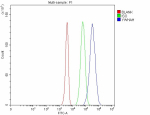 Flow Cytometry analysis of 293T cells using anti-YWHAH antibody. Overlay histogram showing 293T cells stained with (Blue line). The cells were fixed with 4% paraformaldehyde and blocked with 10% normal goat serum. And then incubated with rabbit anti-YWHAH antibody (1 ug/million cells) for 30 min at 20oC. DyLight 488 conjugated goat anti-rabbit IgG (5-10 ug/million cells) was used as secondary antibody for 30 minutes at 20oC. Isotype control antibody (Green line) was rabbit IgG (1 ug/million cells) used under the same conditions. Unlabelled sample without incubation with primary antibody and secondary antibody (Red line) was used as a blank control.