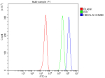 Flow Cytometry analysis of HEL cells using anti-HBS1L antibody. Overlay histogram showing HEL cells stained with (Blue line). To facilitate intracellular staining, cells were fixed with 4% paraformaldehyde and permeabilized with permeabilization buffer. The cells were blocked with 10% normal goat serum. And then incubated with rabbit anti-HBS1L antibody (1 ug/million cells) for 30 min at 20oC. DyLight 488 conjugated goat anti-rabbit IgG (5-10 ug/million cells) was used as secondary antibody for 30 minutes at 20oC. Isotype control antibody (Green line) was rabbit IgG (1 ug/million cells) used under the same conditions. Unlabelled sample without incubation with primary antibody and secondary antibody (Red line) was used as a blank control.
