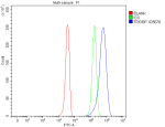 Flow Cytometry analysis of 293T cells using anti-TRIOBP antibody. Overlay histogram showing 293T cells stained with (Blue line). To facilitate intracellular staining, cells were fixed with 4% paraformaldehyde and permeabilized with permeabilization buffer. The cells were blocked with 10% normal goat serum. And then incubated with rabbit anti-TRIOBP antibody (1 ug/million cells) for 30 min at 20oC. DyLight 488 conjugated goat anti-rabbit IgG (5-10 ug/million cells) was used as secondary antibody for 30 minutes at 20oC. Isotype control antibody (Green line) was rabbit IgG (1 ug/million cells) used under the same conditions. Unlabelled sample without incubation with primary antibody and secondary antibody (Red line) was used as a blank control.
