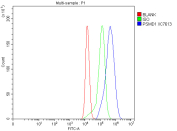Flow cytometry analysis of fixed and permeabilized human A549 cells with PSMD1 antibody at 1ug/million cells (blocked with goat sera); Red=cells alone, Green=isotype control, Blue= PSMD1 antibody.
