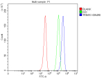 Flow Cytometry analysis of HEL cells using anti-TRIM10 antibody. Overlay histogram showing HEL cells stained with (Blue line). To facilitate intracellular staining, cells were fixed with 4% paraformaldehyde and permeabilized with permeabilization buffer. The cells were blocked with 10% normal goat serum. And then incubated with rabbit anti-TRIM10 antibody (1 ug/million cells) for 30 min at 20oC. DyLight 488 conjugated goat anti-rabbit IgG (5-10 ug/million cells) was used as secondary antibody for 30 minutes at 20oC. Isotype control antibody (Green line) was rabbit IgG (1 ug/million cells) used under the same conditions. Unlabelled sample without incubation with primary antibody and secondary antibody (Red line) was used as a blank control.