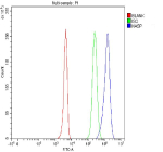 Flow Cytometry analysis of 293T cells using anti-NASP antibody. Overlay histogram showing 293T cells stained with (Blue line). To facilitate intracellular staining, cells were fixed with 4% paraformaldehyde and permeabilized with permeabilization buffer. The cells were blocked with 10% normal goat serum. And then incubated with rabbit anti-NASP antibody (1 ug/million cells) for 30 min at 20oC. DyLight 488 conjugated goat anti-rabbit IgG (5-10 ug/million cells) was used as secondary antibody for 30 minutes at 20oC. Isotype control antibody (Green line) was rabbit IgG (1 ug/million cells) used under the same conditions. Unlabelled sample without incubation with primary antibody and secondary antibody (Red line) was used as a blank control.