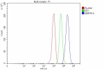 Flow Cytometry analysis of MCF-7 cells using anti-BMPR1A antibody. Overlay histogram showing MCF-7 cells stained with (Blue line). The cells were fixed with 4% paraformaldehyde and blocked with 10% normal goat serum. And then incubated with rabbit anti-BMPR1A antibody (1 ug/million cells) for 30 min at 20oC. DyLight 488 conjugated goat anti-rabbit IgG (5-10 ug/million cells) was used as secondary antibody for 30 minutes at 20oC. Isotype control antibody (Green line) was rabbit IgG (1 ug/million cells) used under the same conditions. Unlabelled sample without incubation with primary antibody and secondary antibody (Red line) was used as a blank control.
