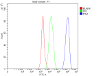 Flow Cytometry analysis of SH-SY5Y cells using anti-RTL1 antibody. Overlay histogram showing SH-SY5Y cells stained with (Blue line). The cells were fixed with 4% paraformaldehyde and blocked with 10% normal goat serum. And then incubated with rabbit anti-RTL1 antibody (1 ug/million cells) for 30 min at 20oC. DyLight 488 conjugated goat anti-rabbit IgG (5-10 ug/million cells) was used as secondary antibody for 30 minutes at 20oC. Isotype control antibody (Green line) was rabbit IgG (1 ug/million cells) used under the same conditions. Unlabelled sample without incubation with primary antibody and secondary antibody (Red line) was used as a blank control.