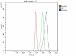 Flow Cytometry analysis of CACO-2 cells using anti-EDNRB antibody. Overlay histogram showing CACO-2 cells stained with (Blue line). The cells were fixed with 4% paraformaldehyde and blocked with 10% normal goat serum. And then incubated with rabbit anti-EDNRB antibody (1 ug/million cells) for 30 min at 20oC. DyLight 488 conjugated goat anti-rabbit IgG (5-10 ug/million cells) was used as secondary antibody for 30 minutes at 20oC. Isotype control antibody (Green line) was rabbit IgG (1 ug/million cells) used under the same conditions. Unlabelled sample without incubation with primary antibody and secondary antibody (Red line) was used as a blank control.