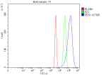 Flow Cytometry analysis of mouse Neuro-2a cells using anti-Peroxin 1 antibody. Overlay histogram showing Neuro-2a cells stained with (Blue line). To facilitate intracellular staining, cells were fixed with 4% paraformaldehyde and permeabilized with permeabilization buffer. The cells were blocked with 10% normal goat serum. And then incubated with rabbit anti-Peroxin 1 antibody (1 ug/million cells) for 30 min at 20oC. DyLight 488 conjugated goat anti-rabbit IgG (5-10 ug/million cells) was used as secondary antibody for 30 minutes at 20oC. Isotype control antibody (Green line) was rabbit IgG (1 ug/million cells) used under the same conditions. Unlabelled sample without incubation with primary antibody and secondary antibody (Red line) was used as a blank control.