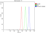 Flow Cytometry analysis of K562 cells using anti-TNFAIP2 antibody. Overlay histogram showing K562 cells stained with (Blue line). The cells were fixed with 4% paraformaldehyde and blocked with 10% normal goat serum. And then incubated with rabbit anti-TNFAIP2 antibody (1 ug/million cells) for 30 min at 20oC. DyLight 488 conjugated goat anti-rabbit IgG (5-10 ug/million cells) was used as secondary antibody for 30 minutes at 20oC. Isotype control antibody (Green line) was rabbit IgG (1 ug/million cells) used under the same conditions. Unlabelled sample without incubation with primary antibody and secondary antibody (Red line) was used as a blank control.
