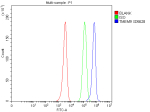 Flow Cytometry analysis of human HEL cells using anti-TMEM9 antibody. Overlay histogram showing HEL cells stained with (Blue line). The cells were fixed with 4% paraformaldehyde and blocked with 10% normal goat serum. And then incubated with rabbit anti-TMEM9 antibody (1 ug/million cells) for 30 min at 20oC. DyLight 488 conjugated goat anti-rabbit IgG (5-10 ug/million cells) was used as secondary antibody for 30 minutes at 20oC. Isotype control antibody (Green line) was rabbit IgG (1 ug/million cells) used under the same conditions. Unlabelled sample without incubation with primary antibody and secondary antibody (Red line) was used as a blank control.