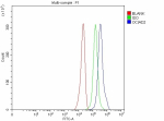 Flow Cytometry analysis of U251 cells using anti-OCIAD2 antibody. Overlay histogram showing U251 cells stained with (Blue line). To facilitate intracellular staining, cells were fixed with 4% paraformaldehyde and permeabilized with permeabilization buffer. The cells were blocked with 10% normal goat serum. And then incubated with rabbit anti-OCIAD2 antibody (1 ug/million cells) for 30 min at 20oC. DyLight 488 conjugated goat anti-rabbit IgG (5-10 ug/million cells) was used as secondary antibody for 30 minutes at 20oC. Isotype control antibody (Green line) was rabbit IgG (1 ug/million cells) used under the same conditions. Unlabelled sample without incubation with primary antibody and secondary antibody (Red line) was used as a blank control.