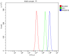 Flow Cytometry analysis of U87 cells using anti-RAD51B antibody. Overlay histogram showing U87 cells stained with (Blue line). To facilitate intracellular staining, cells were fixed with 4% paraformaldehyde and permeabilized with permeabilization buffer. The cells were blocked with 10% normal goat serum. And then incubated with rabbit anti-RAD51B antibody (1 ug/million cells) for 30 min at 20oC. DyLight 488 conjugated goat anti-rabbit IgG (5-10 ug/million cells) was used as secondary antibody for 30 minutes at 20oC. Isotype control antibody (Green line) was rabbit IgG (1 ug/million cells) used under the same conditions. Unlabelled sample without incubation with primary antibody and secondary antibody (Red line) was used as a blank control.