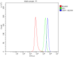Flow Cytometry analysis of SH-SY5Y cells using anti-ODF1 antibody. Overlay histogram showing SH-SY5Y cells stained with (Blue line). To facilitate intracellular staining, cells were fixed with 4% paraformaldehyde and permeabilized with permeabilization buffer. The cells were blocked with 10% normal goat serum. And then incubated with rabbit anti-ODF1 antibody (1 ug/million cells) for 30 min at 20oC. DyLight 488 conjugated goat anti-rabbit IgG (5-10 ug/million cells) was used as secondary antibody for 30 minutes at 20oC. Isotype control antibody (Green line) was rabbit IgG (1 ug/million cells) used under the same conditions. Unlabelled sample without incubation with primary antibody and secondary antibody (Red line) was used as a blank control.
