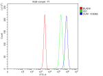Flow Cytometry analysis of Jurkat cells using anti-SUN1 antibody. Overlay histogram showing human Jurkat cells stained with (Blue line). To facilitate intracellular staining, cells were fixed with 4% paraformaldehyde and permeabilized with permeabilization buffer. The cells were blocked with 10% normal goat serum. And then incubated with rabbit anti-SUN1 antibody (1 ug/million cells) for 30 min at 20oC. DyLight 488 conjugated goat anti-rabbit IgG (5-10 ug/million cells) was used as secondary antibody for 30 minutes at 20oC. Isotype control antibody (Green line) was rabbit IgG (1 ug/million cells) used under the same conditions. Unlabelled sample without incubation with primary antibody and secondary antibody (Red line) was used as a blank control.