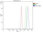 Flow Cytometry analysis of PC-3 cells using anti-EIF3H antibody. Overlay histogram showing PC-3 cells stained with (Blue line). To facilitate intracellular staining, cells were fixed with 4% paraformaldehyde and permeabilized with permeabilization buffer. The cells were blocked with 10% normal goat serum. And then incubated with rabbit anti-EIF3H antibody (1 ug/million cells) for 30 min at 20oC. DyLight 488 conjugated goat anti-rabbit IgG (5-10 ug/million cells) was used as secondary antibody for 30 minutes at 20oC. Isotype control antibody (Green line) was rabbit IgG (1 ug/million cells) used under the same conditions. Unlabelled sample without incubation with primary antibody and secondary antibody (Red line) was used as a blank control.