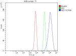 Flow Cytometry analysis of HepG2 cells using anti-NID1 antibody. Overlay histogram showing HepG2 cells stained with (Blue line). The cells were fixed with 4% paraformaldehyde and blocked with 10% normal goat serum. And then incubated with rabbit anti-NID1 antibody (1 ug/million cells) for 30 min at 20oC. DyLight 488 conjugated goat anti-rabbit IgG (5-10 ug/million cells) was used as secondary antibody for 30 minutes at 20oC. Isotype control antibody (Green line) was rabbit IgG (1 ug/million cells) used under the same conditions. Unlabelled sample without incubation with primary antibody and secondary antibody (Red line) was used as a blank control.