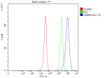 Flow Cytometry analysis of HEL cells using anti-SMARCAL1 antibody. Overlay histogram showing HEL cells stained with (Blue line). To facilitate intracellular staining, cells were fixed with 4% paraformaldehyde and permeabilized with permeabilization buffer. The cells were blocked with 10% normal goat serum. And then incubated with rabbit anti-SMARCAL1 antibody (1 ug/million cells) for 30 min at 20oC. DyLight 488 conjugated goat anti-rabbit IgG (5-10 ug/million cells) was used as secondary antibody for 30 minutes at 20oC. Isotype control antibody (Green line) was rabbit IgG (1 ug/million cells) used under the same conditions. Unlabelled sample without incubation with primary antibody and secondary antibody (Red line) was used as a blank control.