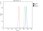 Flow Cytometry analysis of K562 cells using anti-HASPIN antibody. Overlay histogram showing K562 cells stained with (Blue line). To facilitate intracellular staining, cells were fixed with 4% paraformaldehyde and permeabilized with permeabilization buffer. The cells were blocked with 10% normal goat serum. And then incubated with rabbit anti-HASPIN antibody (1 ug/million cells) for 30 min at 20oC. DyLight 488 conjugated goat anti-rabbit IgG (5-10 ug/million cells) was used as secondary antibody for 30 minutes at 20oC. Isotype control antibody (Green line) was rabbit IgG (1 ug/million cells) used under the same conditions. Unlabelled sample without incubation with primary antibody and secondary antibody (Red line) was used as a blank control.