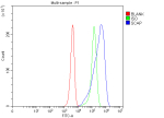 Flow Cytometry analysis of HEPA1-6 cells using anti-SCAP antibody. Overlay histogram showing HEPA1-6 cells stained with (Blue line). To facilitate intracellular staining, cells were fixed with 4% paraformaldehyde and permeabilized with permeabilization buffer. The cells were blocked with 10% normal goat serum. And then incubated with rabbit anti-SCAP antibody (1 ug/million cells) for 30 min at 20oC. DyLight 488 conjugated goat anti-rabbit IgG (5-10 ug/million cells) was used as secondary antibody for 30 minutes at 20oC. Isotype control antibody (Green line) was rabbit IgG (1 ug/million cells) used under the same conditions. Unlabelled sample without incubation with primary antibody and secondary antibody (Red line) was used as a blank control.