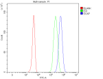 Flow Cytometry analysis of 293T cells using anti-SCAP antibody. Overlay histogram showing 293T cells stained with (Blue line). To facilitate intracellular staining, cells were fixed with 4% paraformaldehyde and permeabilized with permeabilization buffer. The cells were blocked with 10% normal goat serum. And then incubated with rabbit anti-SCAP antibody (1 ug/million cells) for 30 min at 20oC. DyLight 488 conjugated goat anti-rabbit IgG (5-10 ug/million cells) was used as secondary antibody for 30 minutes at 20oC. Isotype control antibody (Green line) was rabbit IgG (1 ug/million cells) used under the same conditions. Unlabelled sample without incubation with primary antibody and secondary antibody (Red line) was used as a blank control.