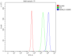 Flow Cytometry analysis of 293T cells using anti-MAML3 antibody. Overlay histogram showing 293T cells stained with (Blue line). To facilitate intracellular staining, cells were fixed with 4% paraformaldehyde and permeabilized with permeabilization buffer. The cells were blocked with 10% normal goat serum. And then incubated with rabbit anti-MAML3 antibody (1 ug/million cells) for 30 min at 20oC. DyLight 488 conjugated goat anti-rabbit IgG (5-10 ug/million cells) was used as secondary antibody for 30 minutes at 20oC. Isotype control antibody (Green line) was rabbit IgG (1 ug/million cells) used under the same conditions. Unlabelled sample without incubation with primary antibody and secondary antibody (Red line) was used as a blank control.