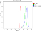 Flow Cytometry analysis of RT4 cells using anti-GGCT antibody. Overlay histogram showing RT4 cells stained with (Blue line). To facilitate intracellular staining, cells were fixed with 4% paraformaldehyde and permeabilized with permeabilization buffer. The cells were blocked with 10% normal goat serum. And then incubated with rabbit anti-GGCT antibody (1 ug/million cells) for 30 min at 20oC. DyLight 488 conjugated goat anti-rabbit IgG (5-10 ug/million cells) was used as secondary antibody for 30 minutes at 20oC. Isotype control antibody (Green line) was rabbit IgG (1 ug/million cells) used under the same conditions. Unlabelled sample without incubation with primary antibody and secondary antibody (Red line) was used as a blank control.