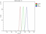 Flow Cytometry analysis of HepG2 cells using anti-ATP7A antibody. Overlay histogram showing HepG2 cells stained with (Blue line). The cells were fixed with 4% paraformaldehyde and blocked with 10% normal goat serum. And then incubated with rabbit anti-ATP7A antibody (1 ug/million cells) for 30 min at 20oC. DyLight 488 conjugated goat anti-rabbit IgG (5-10 ug/million cells) was used as secondary antibody for 30 minutes at 20oC. Isotype control antibody (Green line) was rabbit IgG (1 ug/million cells) used under the same conditions. Unlabelled sample without incubation with primary antibody and secondary antibody (Red line) was used as a blank control.