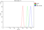 Flow Cytometry analysis of MCF-7 cells using anti-NAB2 antibody. Overlay histogram showing MCF-7 cells stained with (Blue line). To facilitate intracellular staining, cells were fixed with 4% paraformaldehyde and permeabilized with permeabilization buffer. The cells were blocked with 10% normal goat serum. And then incubated with rabbit anti-NAB2 antibody (1 ug/million cells) for 30 min at 20oC. DyLight 488 conjugated goat anti-rabbit IgG (5-10 ug/million cells) was used as secondary antibody for 30 minutes at 20oC. Isotype control antibody (Green line) was rabbit IgG (1 ug/million cells) used under the same conditions. Unlabelled sample without incubation with primary antibody and secondary antibody (Red line) was used as a blank control.