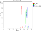 Flow Cytometry analysis of RT4 cells using anti-TMC6 antibody. Overlay histogram showing RT4 cells stained with (Blue line). To facilitate intracellular staining, cells were fixed with 4% paraformaldehyde and permeabilized with permeabilization buffer. The cells were blocked with 10% normal goat serum. And then incubated with rabbit anti-TMC6 antibody (1 ug/million cells) for 30 min at 20oC. DyLight 488 conjugated goat anti-rabbit IgG (5-10 ug/million cells) was used as secondary antibody for 30 minutes at 20oC. Isotype control antibody (Green line) was rabbit IgG (1 ug/million cells) used under the same conditions. Unlabelled sample without incubation with primary antibody and secondary antibody (Red line) was used as a blank control.