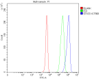 Flow Cytometry analysis of 293T cells using anti-STK33 antibody. Overlay histogram showing 293T cells stained with (Blue line). To facilitate intracellular staining, cells were fixed with 4% paraformaldehyde and permeabilized with permeabilization buffer. The cells were blocked with 10% normal goat serum. And then incubated with rabbit anti-STK33 antibody (1 ug/million cells) for 30 min at 20oC. DyLight 488 conjugated goat anti-rabbit IgG (5-10 ug/million cells) was used as secondary antibody for 30 minutes at 20oC. Isotype control antibody (Green line) was rabbit IgG (1 ug/million cells) used under the same conditions. Unlabelled sample without incubation with primary antibody and secondary antibody (Red line) was used as a blank control.