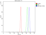 Flow Cytometry analysis of 293T cells using anti-NUP160 antibody. Overlay histogram showing 293T cells stained with (Blue line). To facilitate intracellular staining, cells were fixed with 4% paraformaldehyde and permeabilized with permeabilization buffer. The cells were blocked with 10% normal goat serum. And then incubated with rabbit anti-NUP160 antibody (1 ug/million cells) for 30 min at 20oC. DyLight 488 conjugated goat anti-rabbit IgG (5-10 ug/million cells) was used as secondary antibody for 30 minutes at 20oC. Isotype control antibody (Green line) was rabbit IgG (1 ug/million cells) used under the same conditions. Unlabelled sample without incubation with primary antibody and secondary antibody (Red line) was used as a blank control.