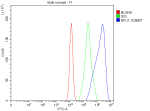 Flow Cytometry analysis of cells using anti-NFU1 antibody. Overlay histogram showing cells stained with (Blue line). To facilitate intracellular staining, cells were fixed with 4% paraformaldehyde and permeabilized with permeabilization buffer. The cells were blocked with 10% normal goat serum. And then incubated with rabbit anti-NFU1 antibody (1 ug/million cells) for 30 min at 20oC. DyLight 488 conjugated goat anti-rabbit IgG (5-10 ug/million cells) was used as secondary antibody for 30 minutes at 20oC. Isotype control antibody (Green line) was rabbit IgG (1 ug/million cells) used under the same conditions. Unlabelled sample without incubation with primary antibody and secondary antibody (Red line) was used as a blank control.
