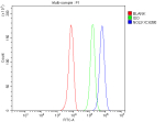 Flow Cytometry analysis of HepG2 cells using anti-NOL9 antibody. Overlay histogram showing HepG2 cells stained with (Blue line). To facilitate intracellular staining, cells were fixed with 4% paraformaldehyde and permeabilized with permeabilization buffer. The cells were blocked with 10% normal goat serum. And then incubated with rabbit anti-NOL9 antibody (1 ug/million cells) for 30 min at 20oC. DyLight 488 conjugated goat anti-rabbit IgG (5-10 ug/million cells) was used as secondary antibody for 30 minutes at 20oC. Isotype control antibody (Green line) was rabbit IgG (1 ug/million cells) used under the same conditions. Unlabelled sample without incubation with primary antibody and secondary antibody (Red line) was used as a blank control.