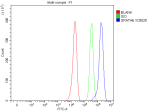 Flow Cytometry analysis of U251 cells using anti-SPATA6 antibody. Overlay histogram showing U251 cells stained with (Blue line). The cells were fixed with 4% paraformaldehyde and blocked with 10% normal goat serum. And then incubated with rabbit anti-SPATA6 antibody (1 ug/million cells) for 30 min at 20oC. DyLight 488 conjugated goat anti-rabbit IgG (5-10 ug/million cells) was used as secondary antibody for 30 minutes at 20oC. Isotype control antibody (Green line) was rabbit IgG (1 ug/million cells) used under the same conditions. Unlabelled sample without incubation with primary antibody and secondary antibody (Red line) was used as a blank control.