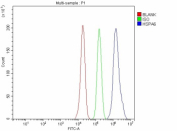 Flow Cytometry analysis of PC-3 cells using anti-HSPA6 antibody. Overlay histogram showing PC-3 cells stained with (Blue line). To facilitate intracellular staining, cells were fixed with 4% paraformaldehyde and permeabilized with permeabilization buffer. The cells were blocked with 10% normal goat serum. And then incubated with rabbit anti-HSPA6 antibody (1 ug/million cells) for 30 min at 20oC. DyLight 488 conjugated goat anti-rabbit IgG (5-10 ug/million cells) was used as secondary antibody for 30 minutes at 20oC. Isotype control antibody (Green line) was rabbit IgG (1 ug/million cells) used under the same conditions. Unlabelled sample without incubation with primary antibody and secondary antibody (Red line) was used as a blank control.