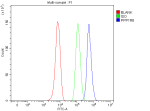 Flow Cytometry analysis of HepG2 cells using anti-PPP1R8 antibody. Overlay histogram showing HepG2 cells stained with (Blue line). To facilitate intracellular staining, cells were fixed with 4% paraformaldehyde and permeabilized with permeabilization buffer. The cells were blocked with 10% normal goat serum. And then incubated with rabbit anti-PPP1R8 antibody (1 ug/million cells) for 30 min at 20oC. DyLight 488 conjugated goat anti-rabbit IgG (5-10 ug/million cells) was used as secondary antibody for 30 minutes at 20oC. Isotype control antibody (Green line) was rabbit IgG (1 ug/million cells) used under the same conditions. Unlabelled sample without incubation with primary antibody and secondary antibody (Red line) was used as a blank control.