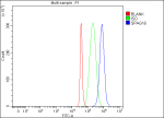 Flow Cytometry analysis of SH-SY5Y cells using anti-SPAG16 antibody. Overlay histogram showing SH-SY5Y cells stained with (Blue line). To facilitate intracellular staining, cells were fixed with 4% paraformaldehyde and permeabilized with permeabilization buffer. The cells were blocked with 10% normal goat serum. And then incubated with rabbit anti-SPAG16 antibody (1 ug/million cells) for 30 min at 20oC. DyLight 488 conjugated goat anti-rabbit IgG (5-10 ug/million cells) was used as secondary antibody for 30 minutes at 20oC. Isotype control antibody (Green line) was rabbit IgG (1 ug/million cells) used under the same conditions. Unlabelled sample (Red line) was also used as a control.