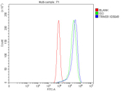 Flow Cytometry analysis of CACO-2 cells using anti-TRIM39 antibody. Overlay histogram showing CACO-2 cells stained with (Blue line). To facilitate intracellular staining, cells were fixed with 4% paraformaldehyde and permeabilized with permeabilization buffer. The cells were blocked with 10% normal goat serum. And then incubated with rabbit anti-TRIM39 antibody (1 ug/million cells) for 30 min at 20oC. DyLight 488 conjugated goat anti-rabbit IgG (5-10 ug/million cells) was used as secondary antibody for 30 minutes at 20oC. Isotype control antibody (Green line) was rabbit IgG (1 ug/million cells) used under the same conditions. Unlabelled sample without incubation with primary antibody and secondary antibody (Red line) was used as a blank control.