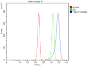 Flow Cytometry analysis of Jurkat cells using anti-TRIM39 antibody. Overlay histogram showing Jurkat cells stained with (Blue line). To facilitate intracellular staining, cells were fixed with 4% paraformaldehyde and permeabilized with permeabilization buffer. The cells were blocked with 10% normal goat serum. And then incubated with rabbit anti-TRIM39 antibody (1 ug/million cells) for 30 min at 20oC. DyLight 488 conjugated goat anti-rabbit IgG (5-10 ug/million cells) was used as secondary antibody for 30 minutes at 20oC. Isotype control antibody (Green line) was rabbit IgG (1 ug/million cells) used under the same conditions. Unlabelled sample without incubation with primary antibody and secondary antibody (Red line) was used as a blank control.