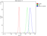 Flow Cytometry analysis of 293T cells using anti-QRICH1 antibody. Overlay histogram showing 293T cells stained with (Blue line). To facilitate intracellular staining, cells were fixed with 4% paraformaldehyde and permeabilized with permeabilization buffer. The cells were blocked with 10% normal goat serum. And then incubated with rabbit anti-QRICH1 antibody (1 ug/million cells) for 30 min at 20oC. DyLight 488 conjugated goat anti-rabbit IgG (5-10 ug/million cells) was used as secondary antibody for 30 minutes at 20oC. Isotype control antibody (Green line) was rabbit IgG (1 ug/million cells) used under the same conditions. Unlabelled sample without incubation with primary antibody and secondary antibody (Red line) was used as a blank control.