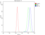 Flow Cytometry analysis of 293T cells using anti-NIP7 antibody. Overlay histogram showing 293T cells stained with (Blue line). To facilitate intracellular staining, cells were fixed with 4% paraformaldehyde and permeabilized with permeabilization buffer. The cells were blocked with 10% normal goat serum. And then incubated with rabbit anti-NIP7 antibody (1 ug/million cells) for 30 min at 20oC. DyLight 488 conjugated goat anti-rabbit IgG (5-10 ug/million cells) was used as secondary antibody for 30 minutes at 20oC. Isotype control antibody (Green line) was rabbit IgG (1 ug/million cells) used under the same conditions. Unlabelled sample (Red line) was also used as a control.